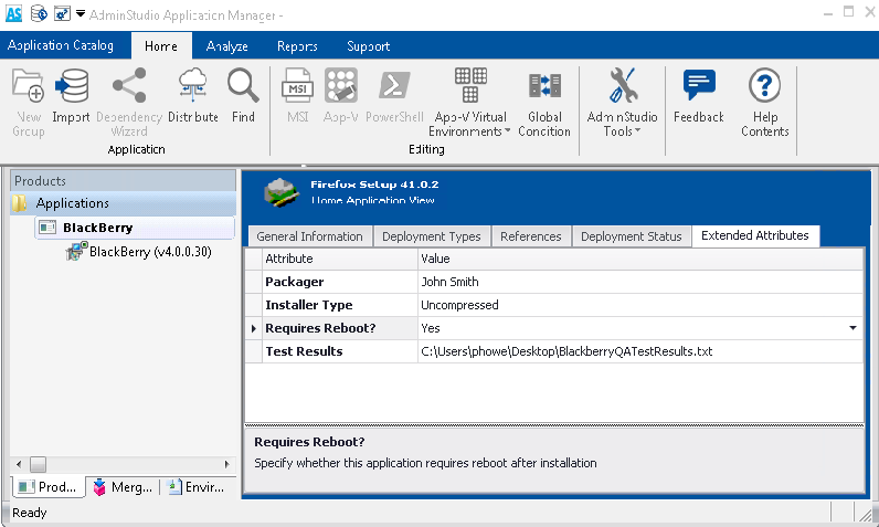 Extended Attributes Tab of the Application View